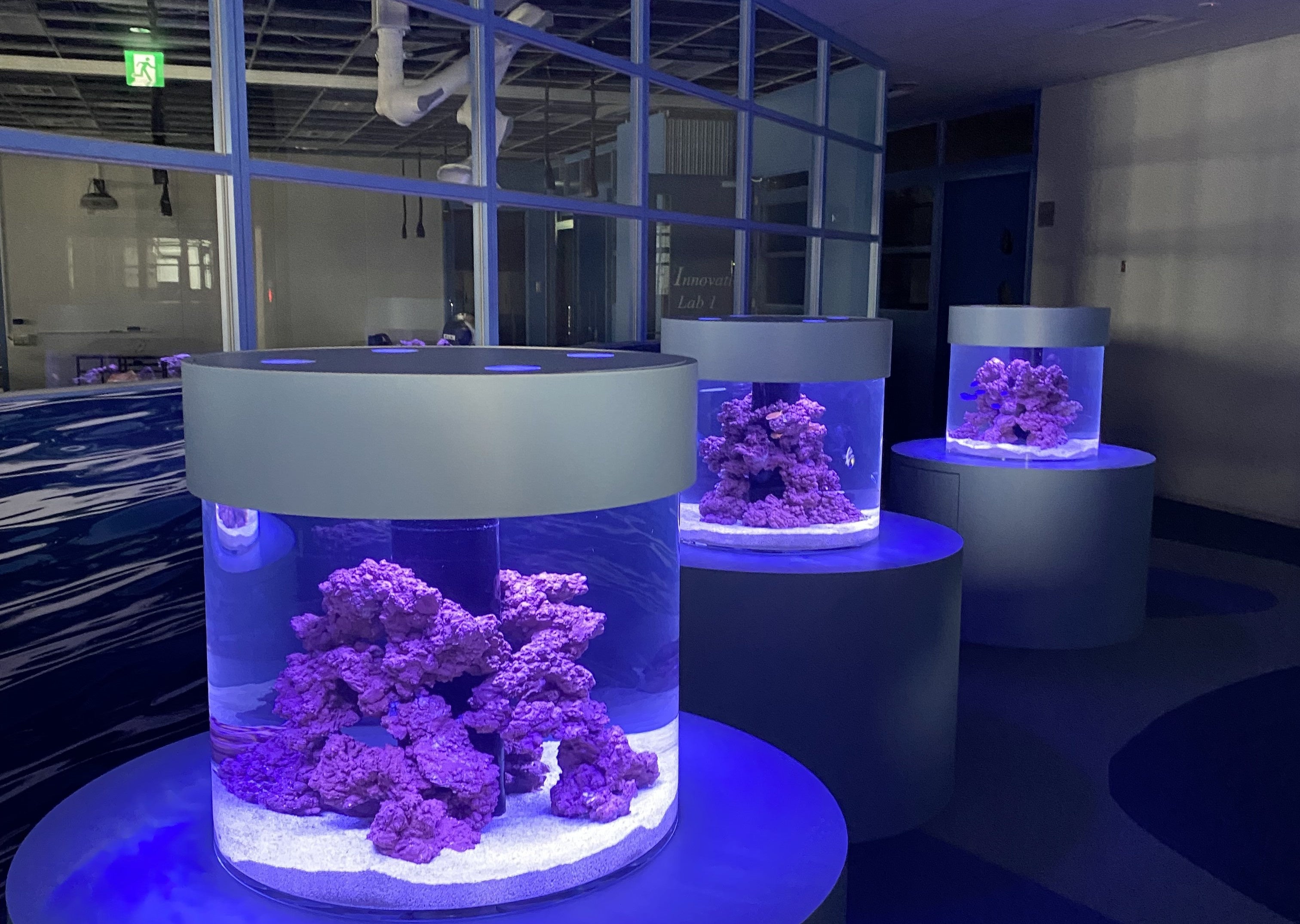 【7階・初等部】OCEAN（オーシャン）