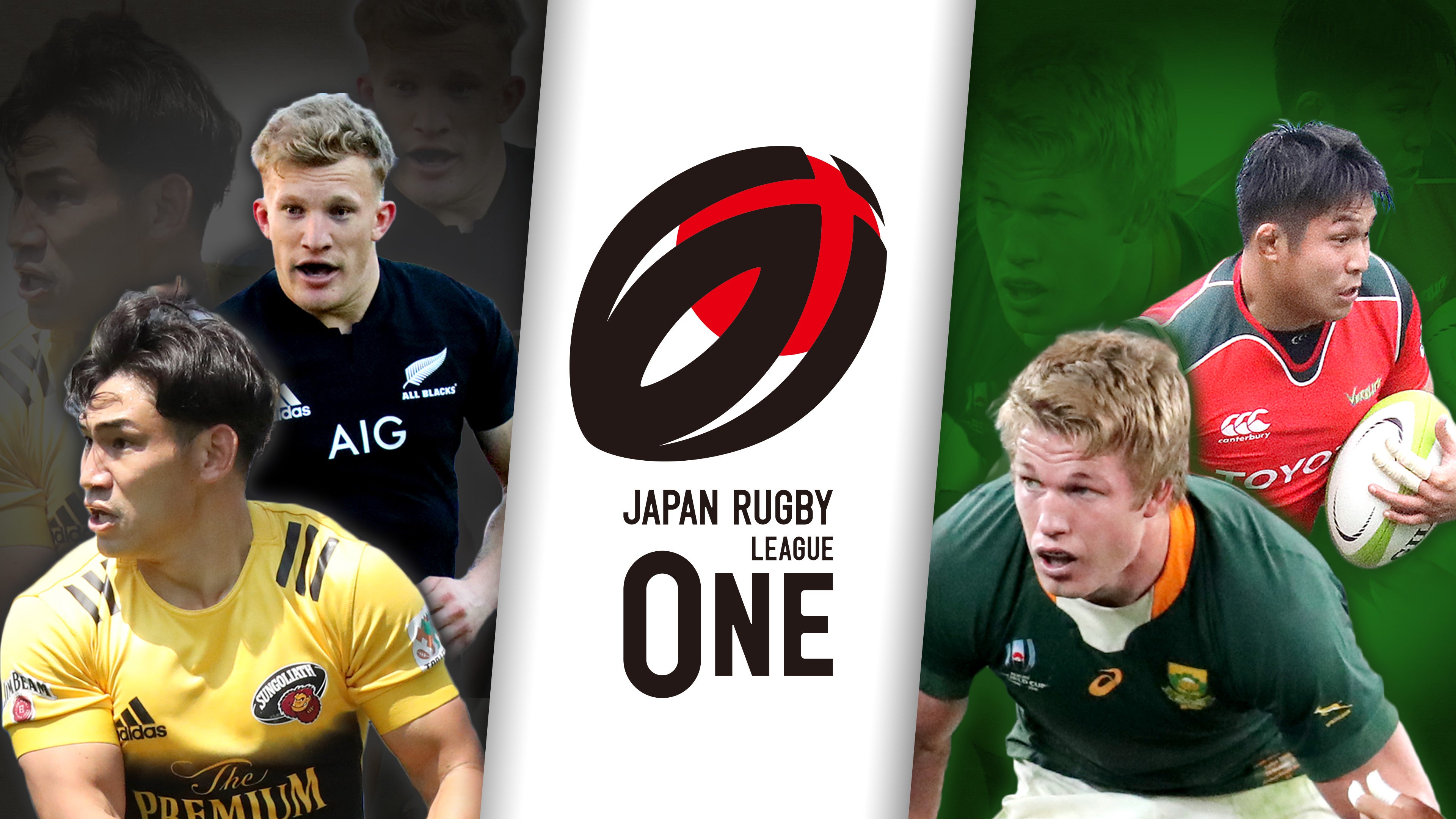 写真提供 齋藤龍太郎（楕円銀河）