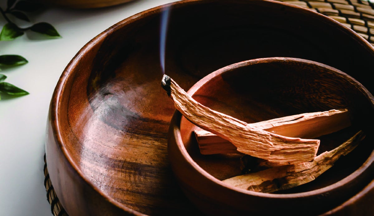 瞑想する前に焚いて使用するパロサントツリーのイメージ