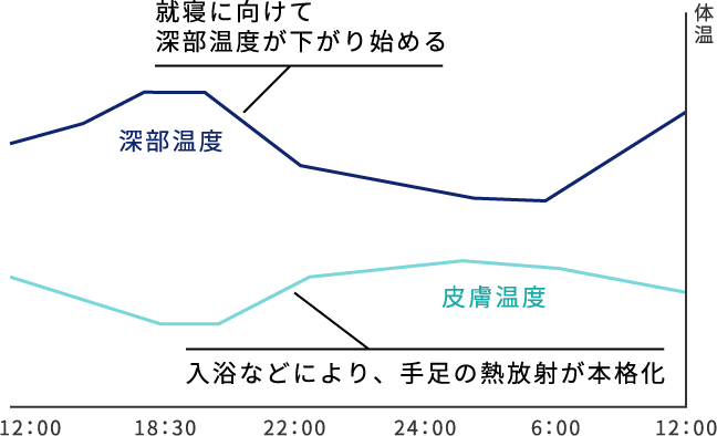図：深部温度と皮膚温度の変化