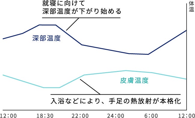 図:深部温度と皮膚温度の変化