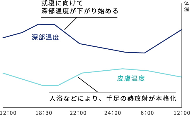 図：深部温度と皮膚温度の変化（イメージ）