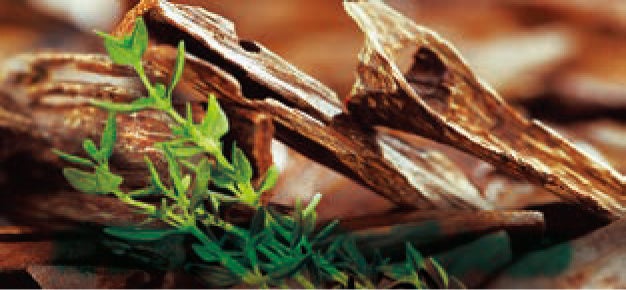 くつろぎアロマ（オリエンタルウッディの香り）のイメージ