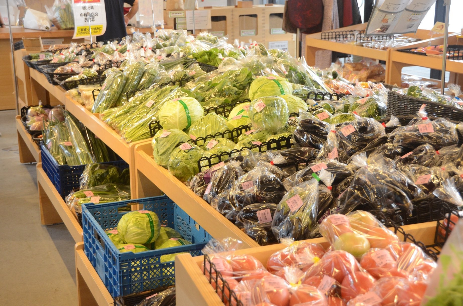 高級ごぼう「諸田ごぼう」や、新規就農者向け研修農場でのアスパラ栽培なども盛ん