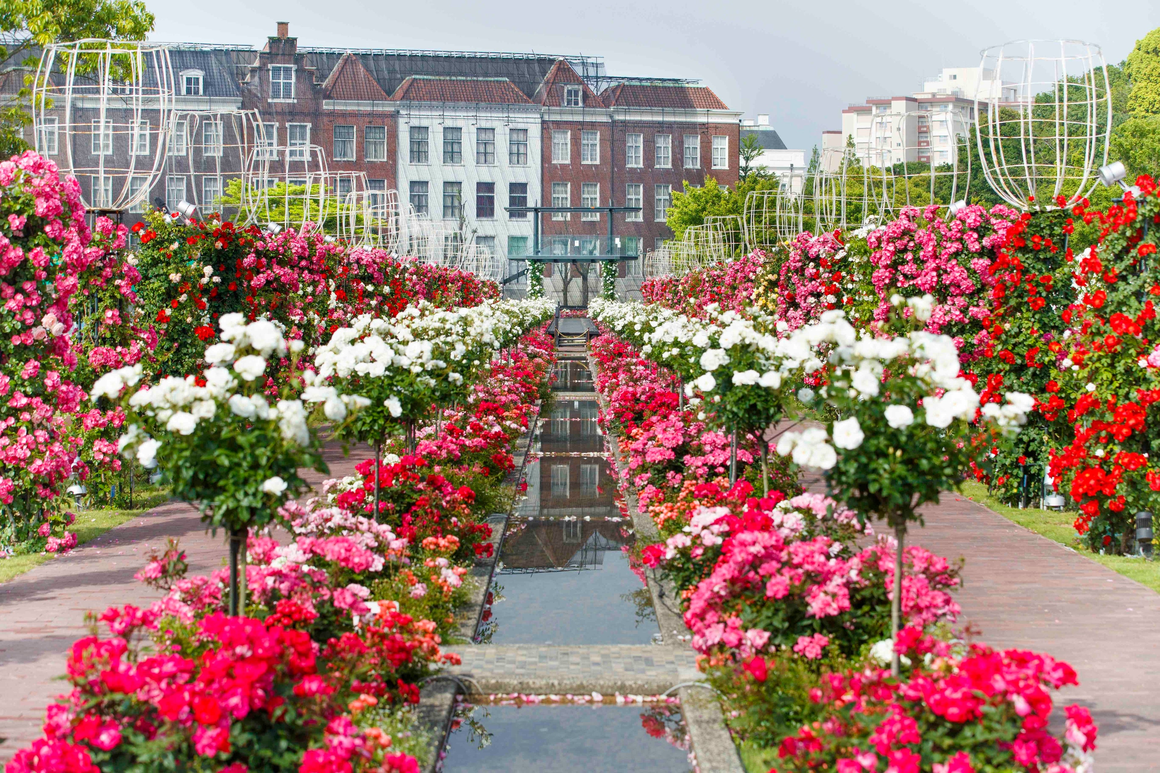 み*み様 house on the hill 昆虫ボンネット 90 旅ログ】Huis Ten Bosch(ハロウィン)｜るびぃのひとりごと