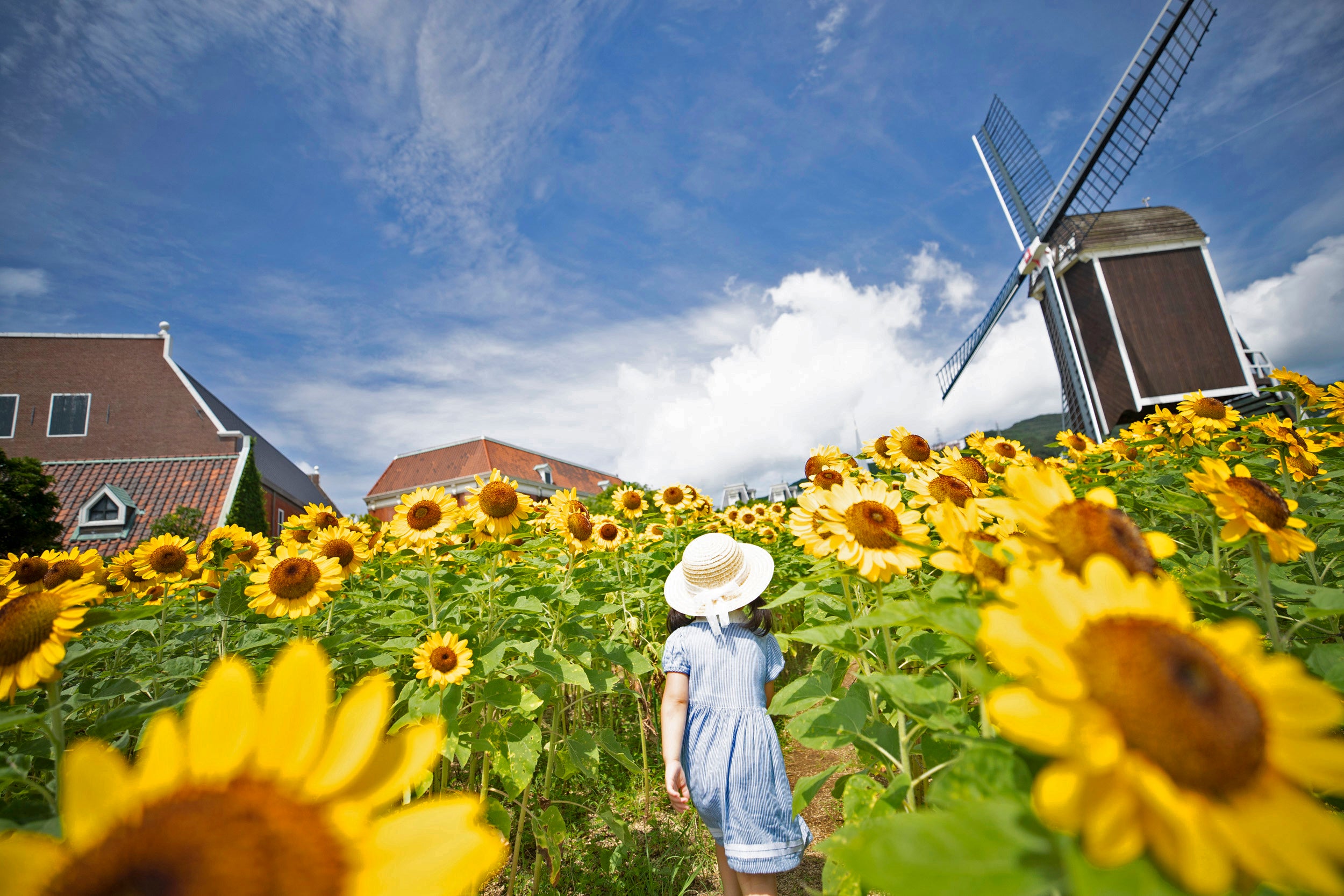 バスチオンの様子