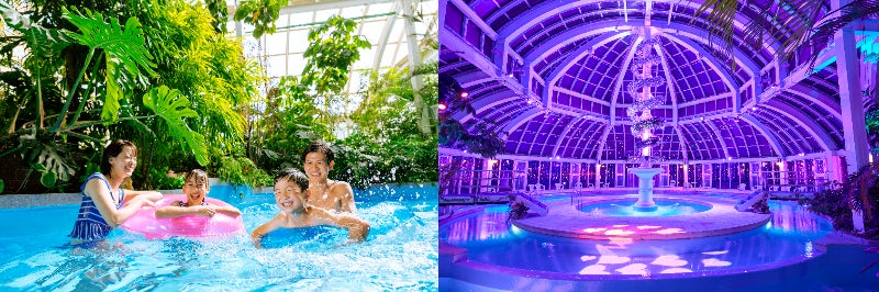 森のプール（昼・夜）