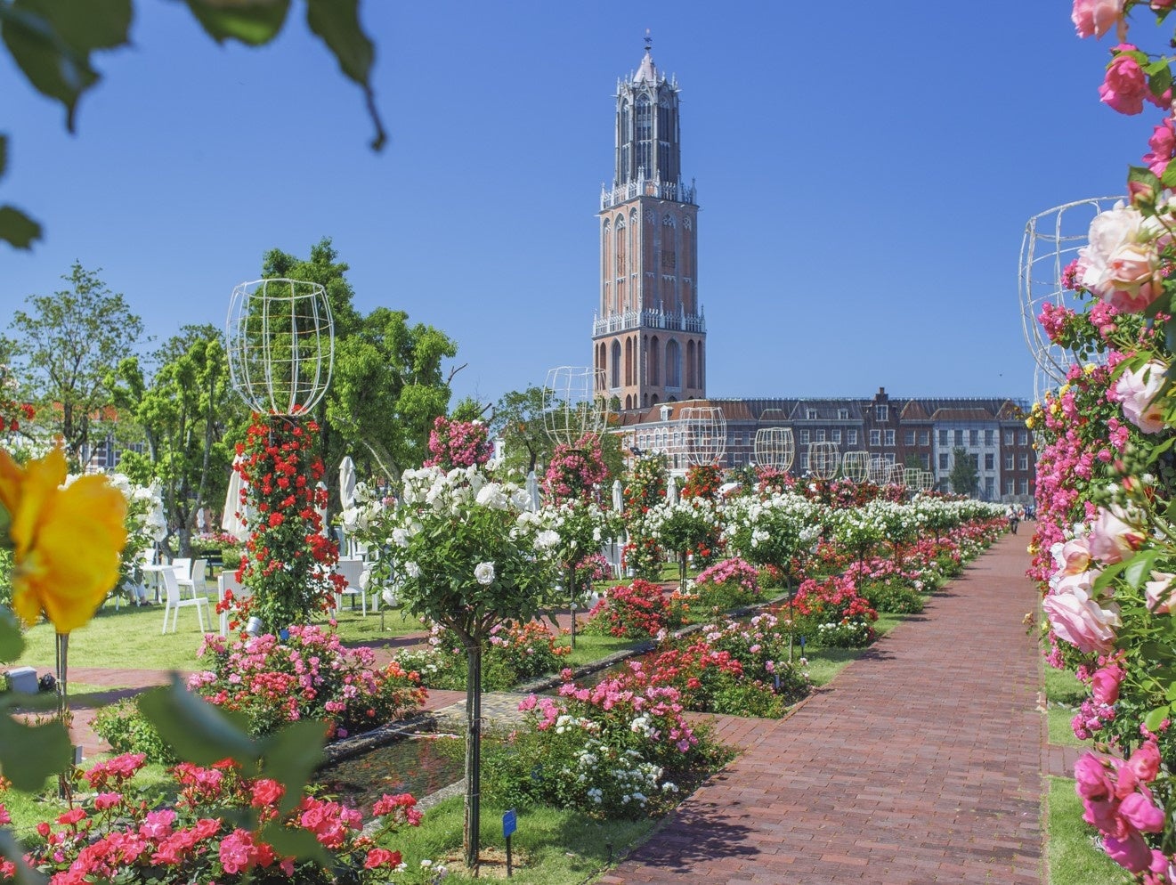 バラの世界的権威が絶賛する奇跡の花園で、日本最大の音楽噴水ショーが初登場!アジア最大級のバラ祭典を1ヶ月限定で開催! バラの世界的権威が絶賛する奇跡の花園で、日本最大の音楽噴水ショーが初登場!アジア最大級のバラ祭典を1ヶ月限定で開催!