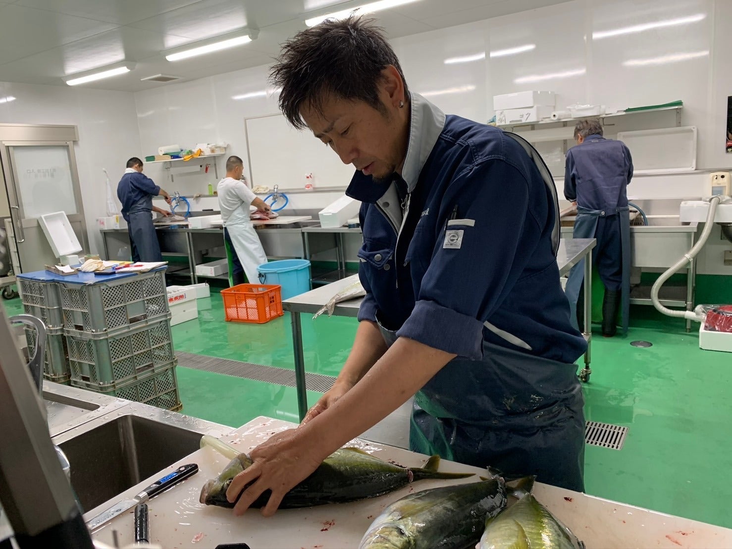 魚好きでは超有名 あの 津本式 の技術を3カ月の寿司職人養成学校で身に付けられる うま味アップ 長期保存可能の究極の血抜き 業界注目の技術を習得し国内外で寿司職人として活躍できる人材を育成 g factory株式会社のプレスリリース 魚好きでは超有名 あの 津本式 の技術を3カ月の寿司職人養成学校で身に付けられる うま味アップ 長期保存可能の究極の血抜き 業界注目の技術を習得し国内外で寿司職人として活躍できる人材を育成 g factory株式会社のプレスリリース