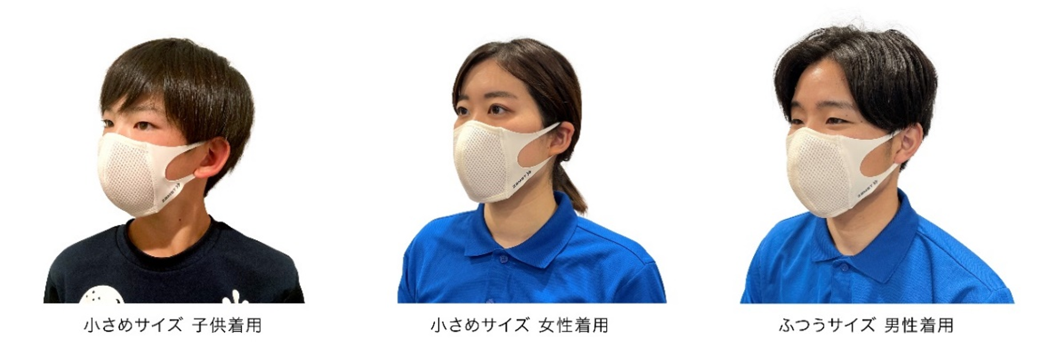 ▲サイズは小さめ／ふつうサイズの2種類