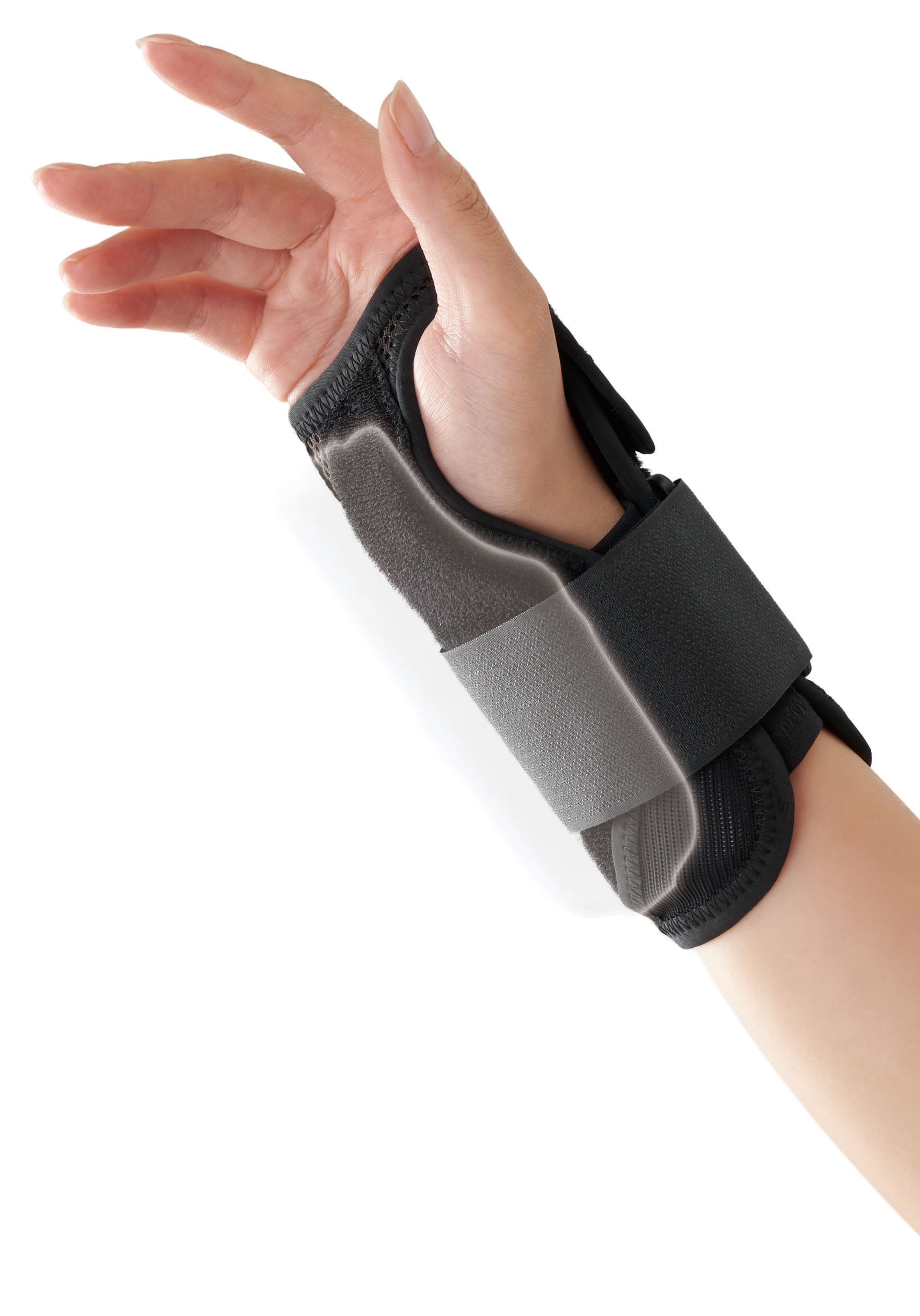 ハイブリッドシーネ リスト