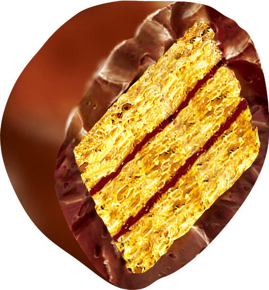 「キットカット」  サクサク食感が楽しい！