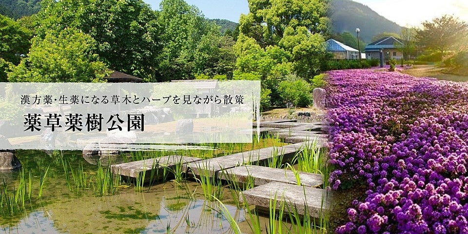 丹波の湯に使用される薬用を栽培している丹波市薬草薬樹公園(画像提供 丹波市薬草薬樹公園)