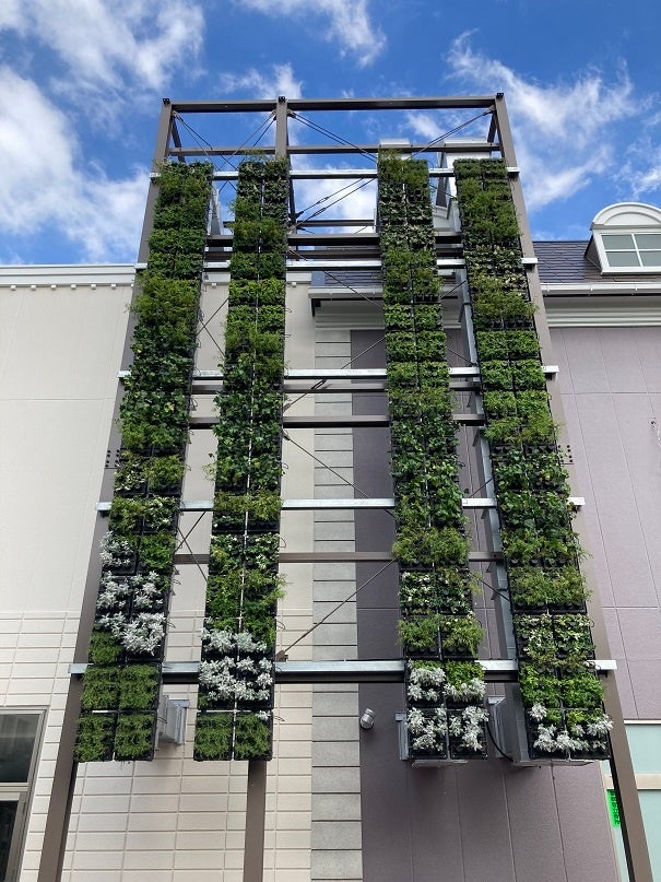 壁面緑化された外壁