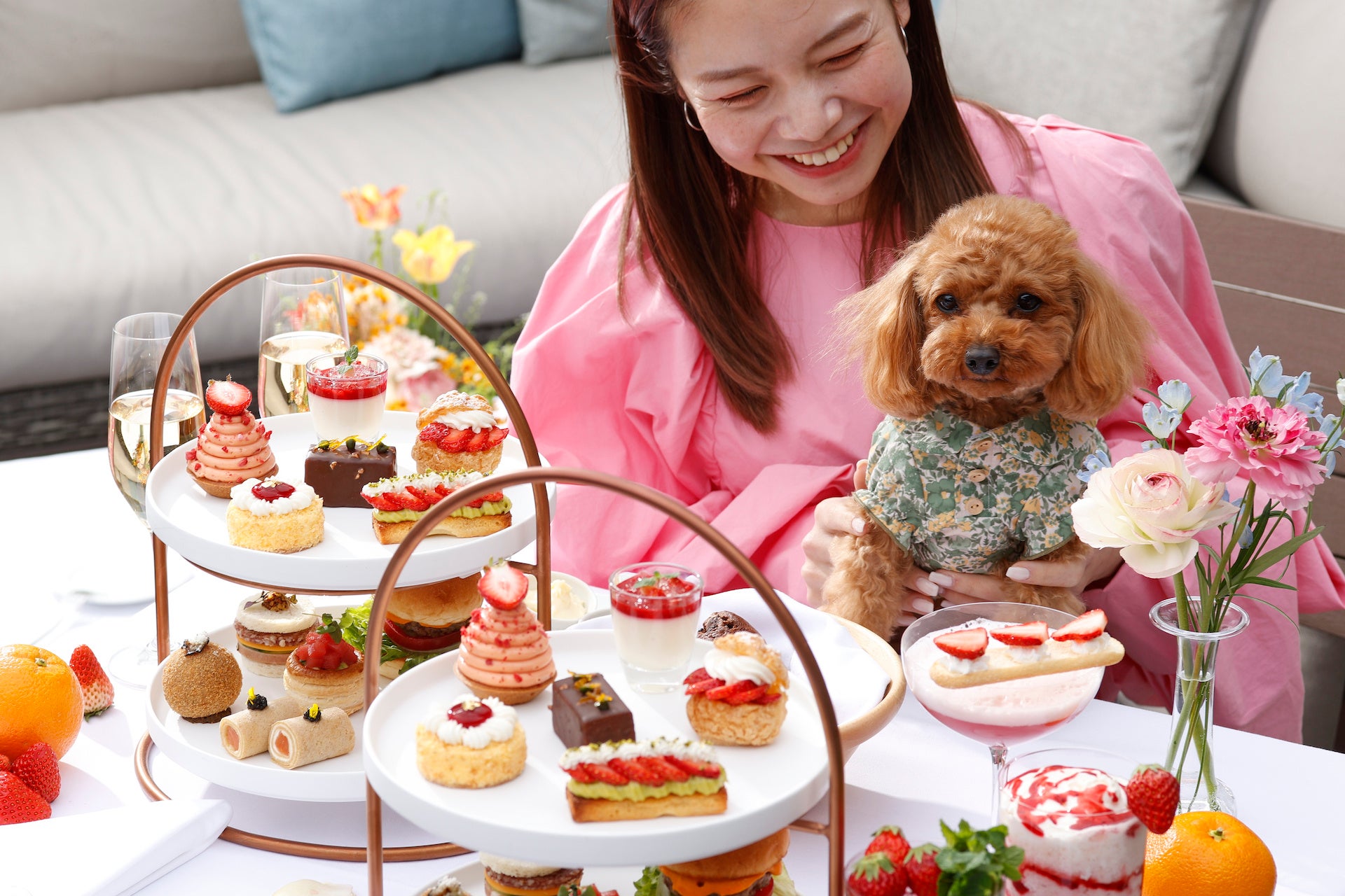 テラス席ではペットご同伴での利用が可能です