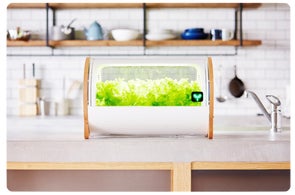 日本初のIoT水耕栽培機「foop」新ラインナップ「foop Lite 日本初のIoT水耕栽培機「foop」新ラインナップ「foop Lite