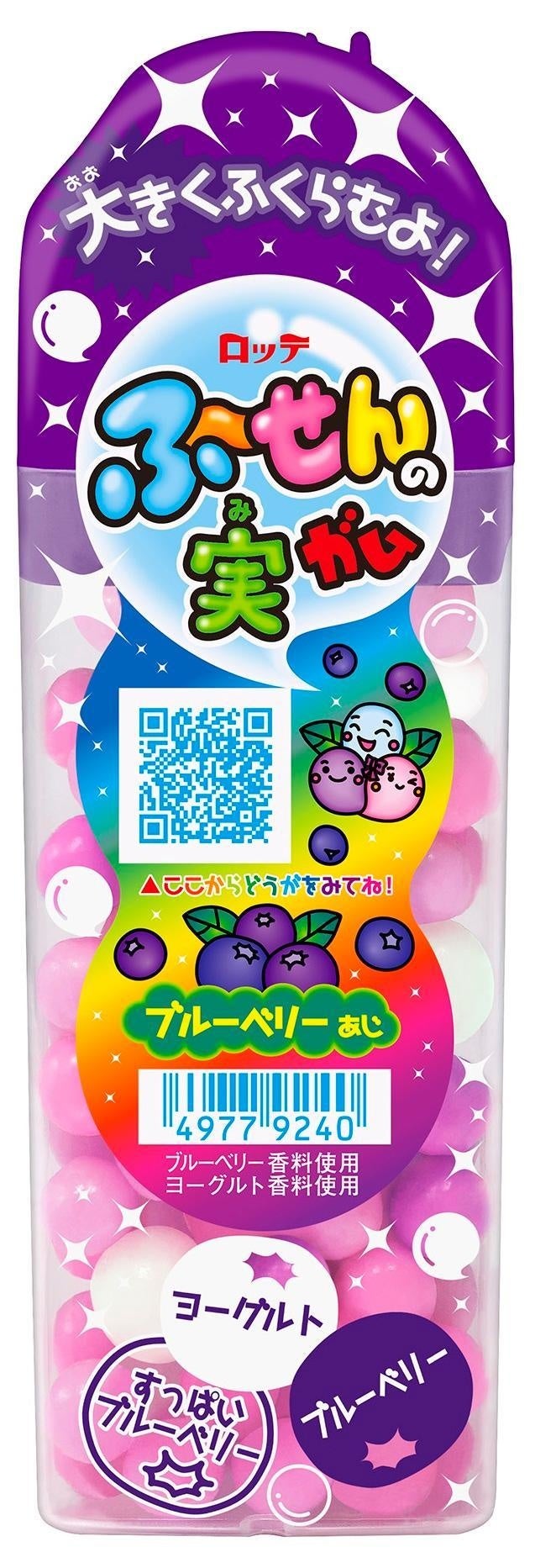 ふ～せんの実＜ブルーベリー＞