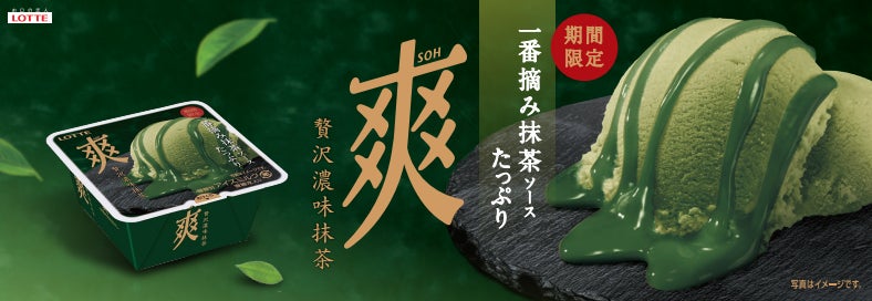 ワンランク上の爽体験 第3弾!!一番摘み抹茶を使用した濃厚抹茶 ワンランク上の爽体験 第3弾!!一番摘み抹茶を使用した濃厚抹茶