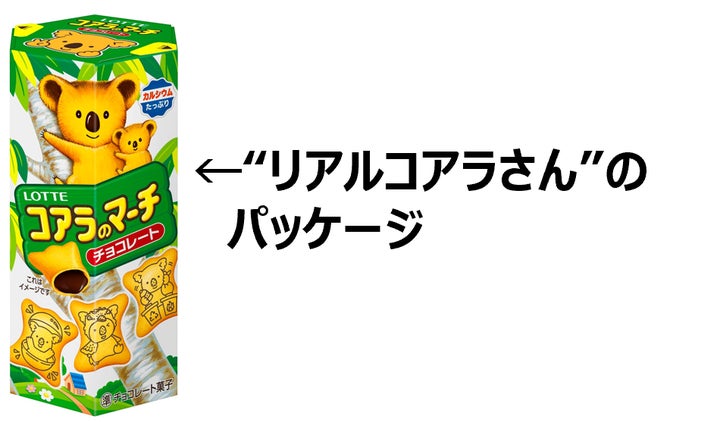 史上初!「プロフを探す」コアラのマーチ キミや推しのプロフは 史上初!「プロフを探す」コアラのマーチ キミや推しのプロフは