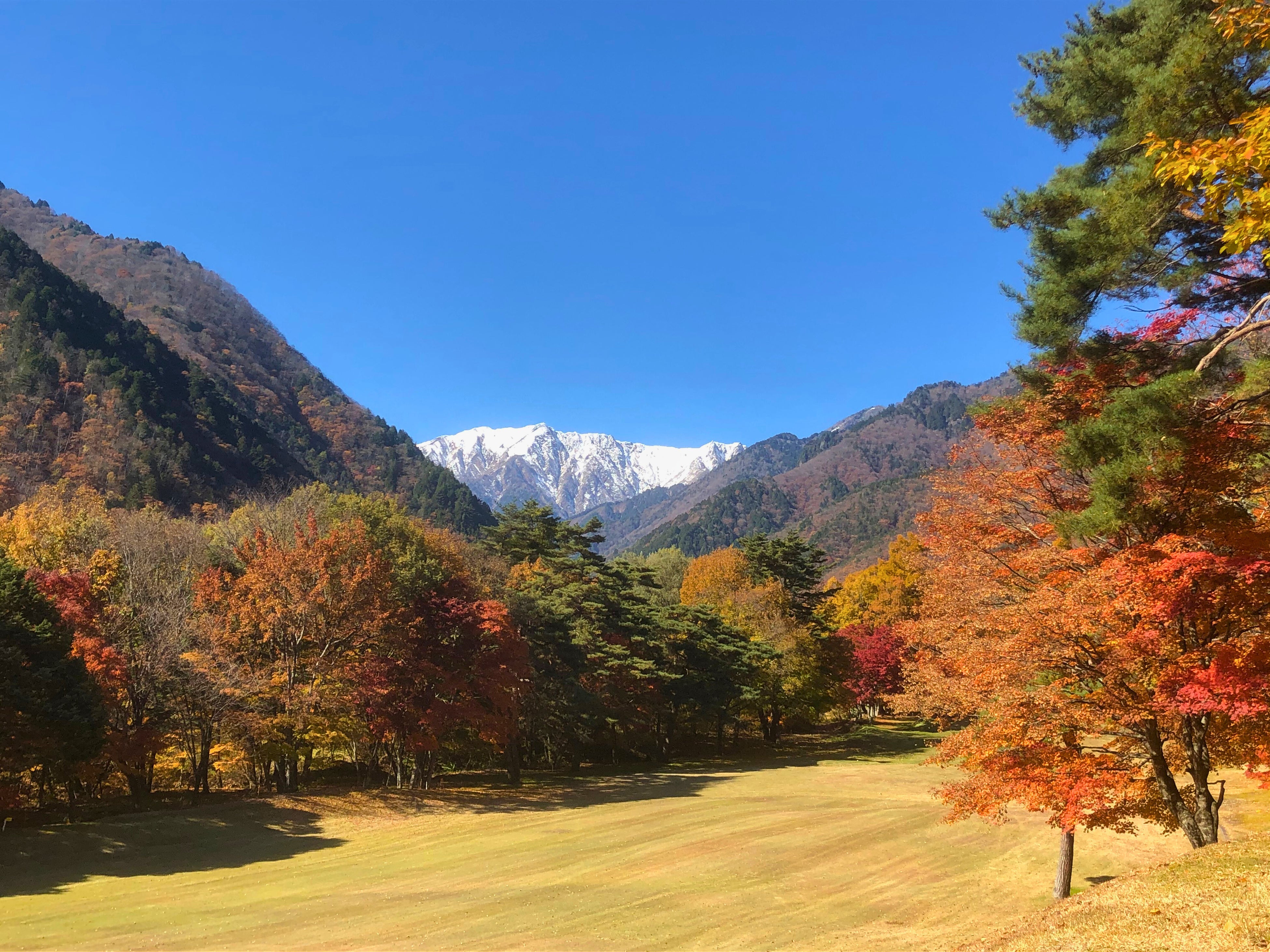 ANA ホリデイ・インリゾート信濃大町くろよん前のゴルフ場から撮影 “緑×紅葉×雪”の「三段紅葉」（2021年11月撮影）