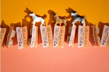 世界初 パキッテ を採用 愛犬の肌トラブルをケアする入浴剤 Hada Fine Makuakeにて 6月29日 水 より先行予約販売開始 シーエイジングのプレスリリース 世界初 パキッテ を採用 愛犬の肌トラブルをケアする入浴剤 Hada Fine Makuakeにて 6月29日 水 より先行予約販売開始 シーエイジングのプレスリリース