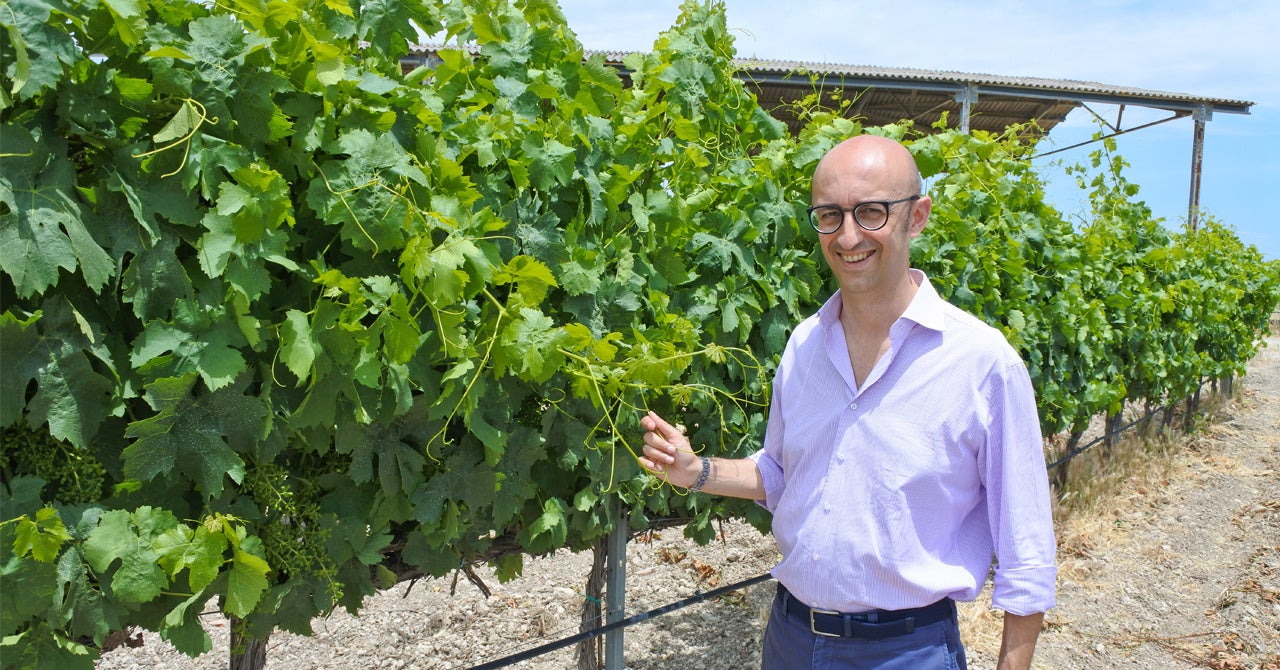 ダウンロード素材-生産者画像