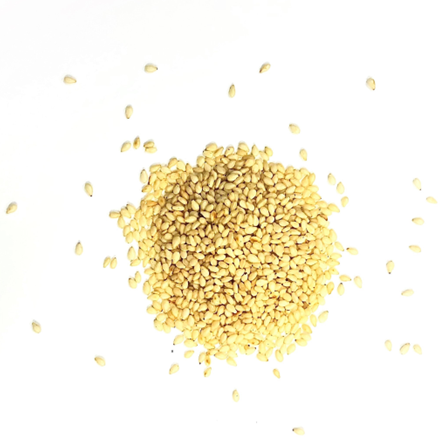 「皮むきいりごま」は、見た目が綺麗で、甘味が強くパリッとした食感