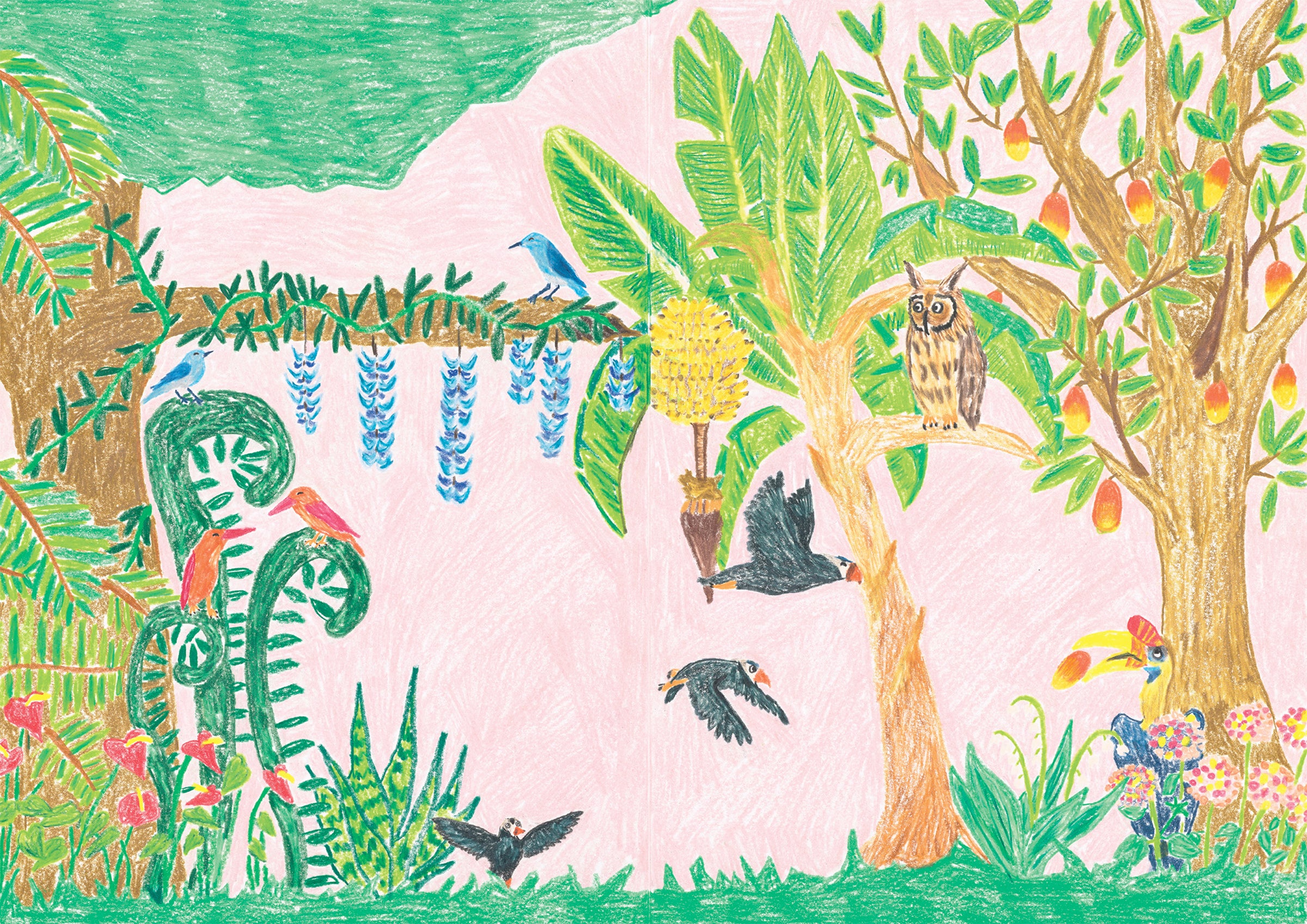 カラフルで鮮やかな色彩で描かれた絵が、南の島の物語を盛り上げます。