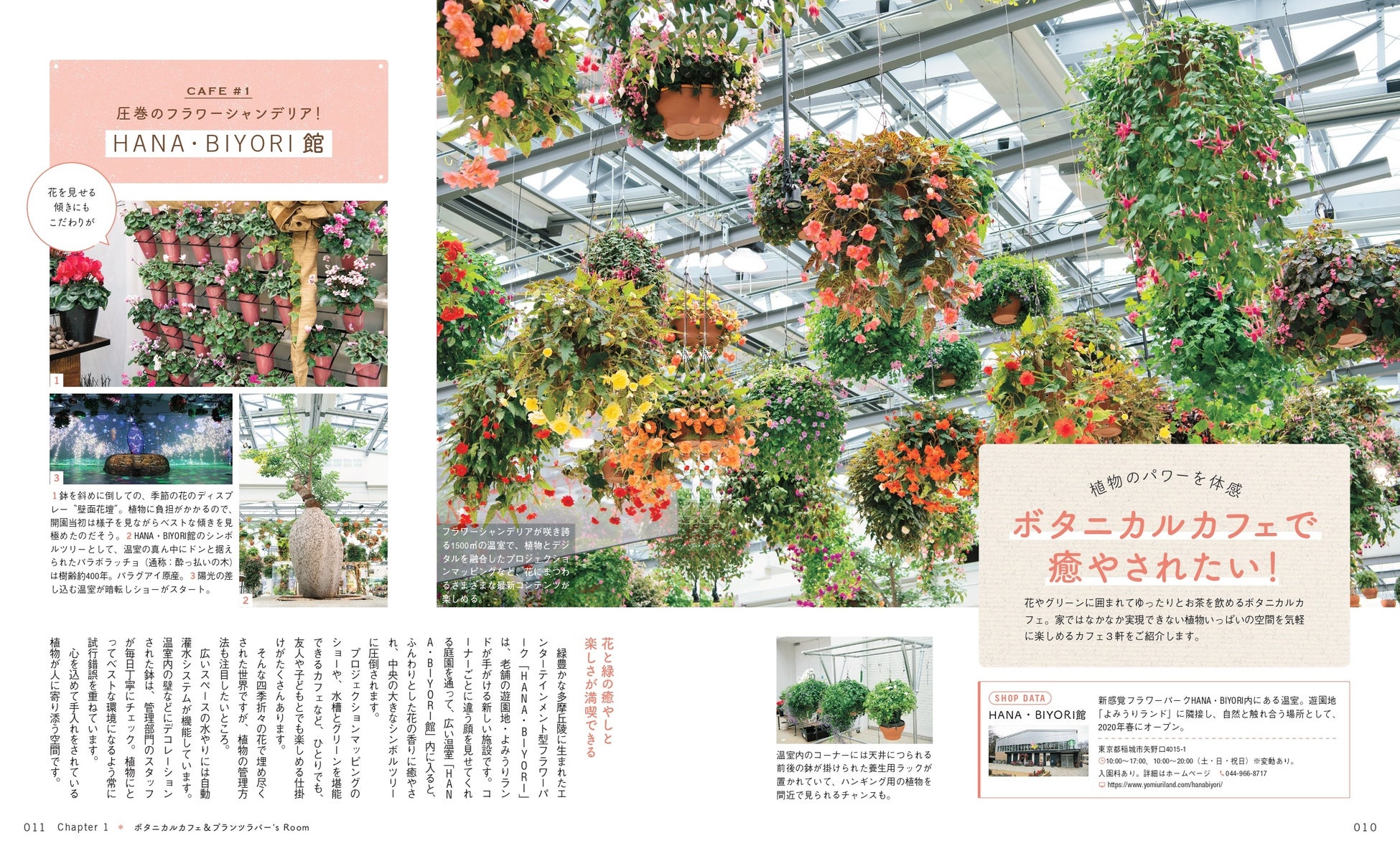 コロナ禍で観葉植物がブームに 新生活に ひと鉢 植物といっしょに暮らす 観葉生活 をはじめよう 株式会社主婦の友社 のプレスリリース コロナ禍で観葉植物がブームに 新生活に ひと鉢 植物といっしょに暮らす 観葉生活 をはじめよう 株式会社主婦の友社 のプレスリリース