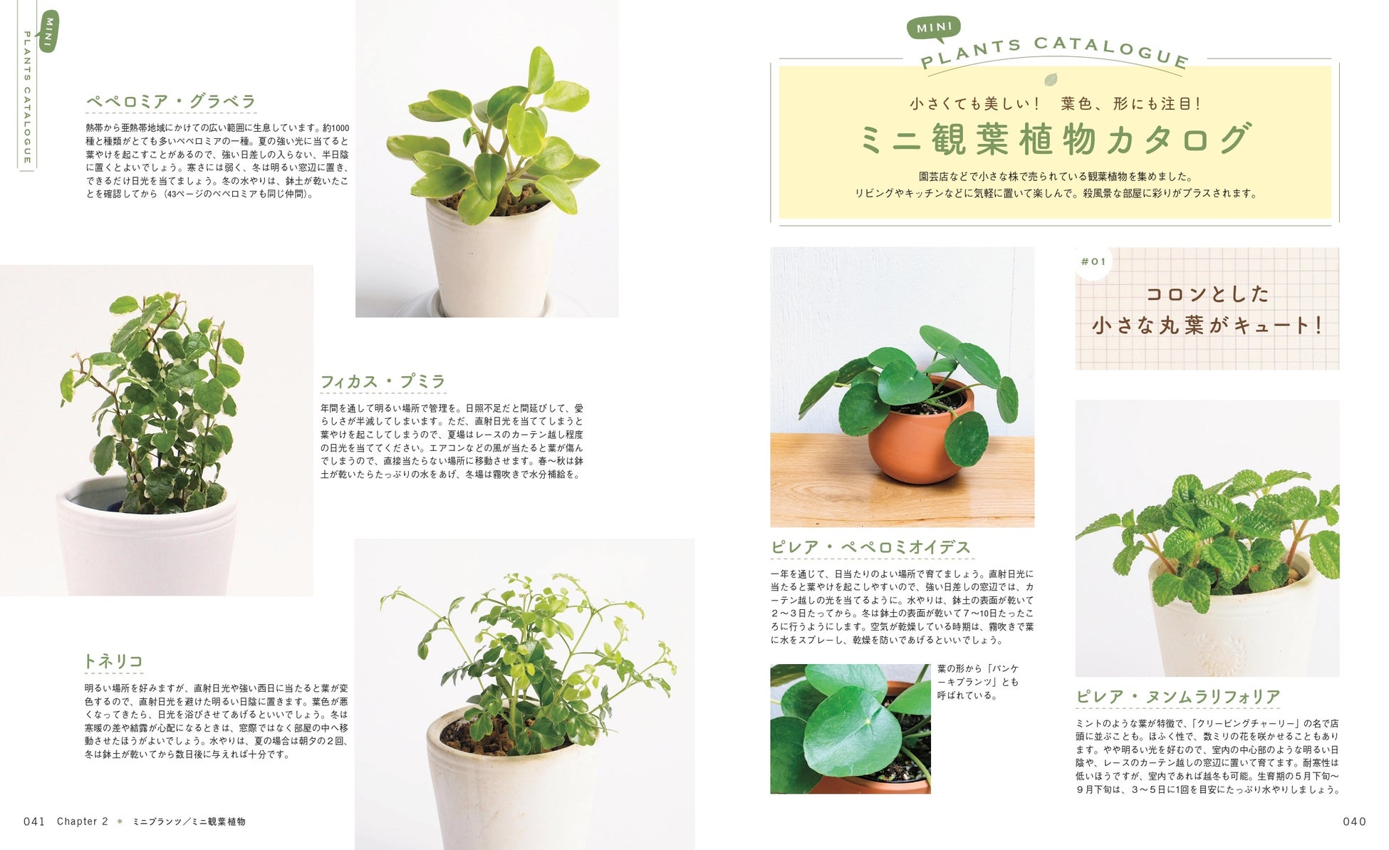 コロナ禍で観葉植物がブームに 新生活に ひと鉢 植物といっしょに暮らす 観葉生活 をはじめよう 株式会社主婦の友社 のプレスリリース コロナ禍で観葉植物がブームに 新生活に ひと鉢 植物といっしょに暮らす 観葉生活 をはじめよう 株式会社主婦の友社 のプレスリリース