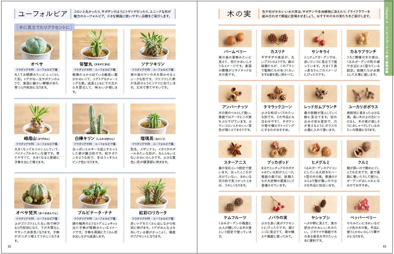 多肉植物のほか、木の実の図鑑も充実
