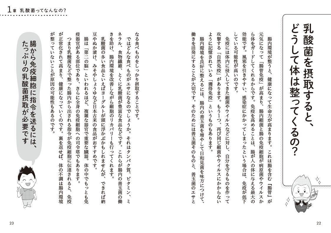 1項目1見開きで展開