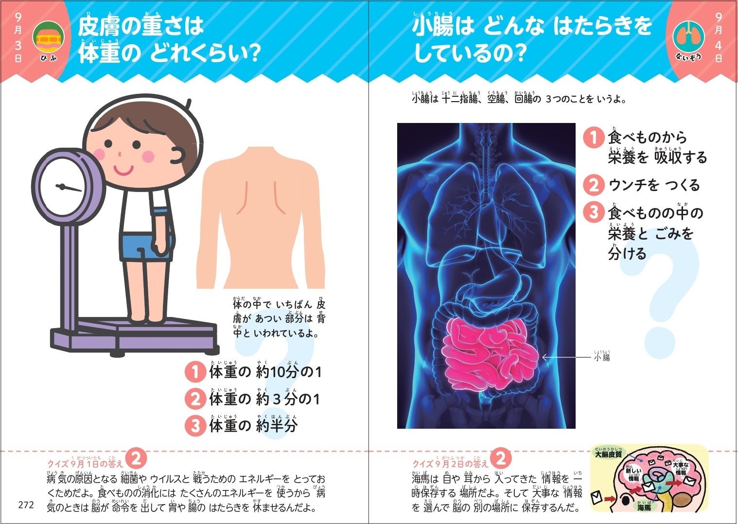 小学生の体のしくみ大疑問100 科学ぎもんランキング　学習漫画　図解クイズ人体 るるぶ マンガとクイズで楽しく学ぶ！人間のからだ (学習まんが
