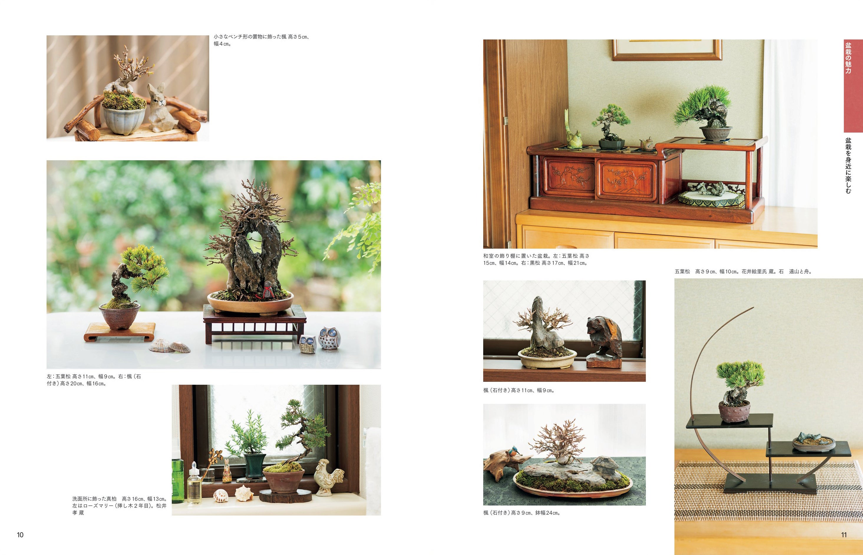 小さな盆栽なら置き場所がなくても始められます。