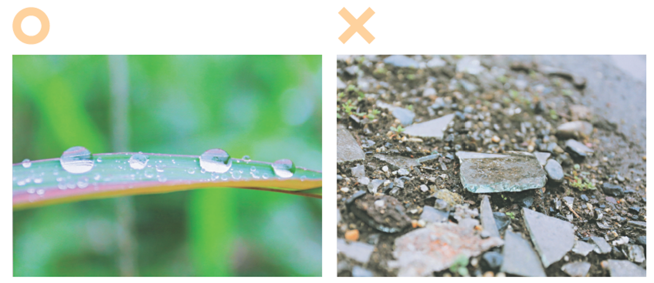 第17回小学校部門金賞「しぜんに光るキラキラがすき」