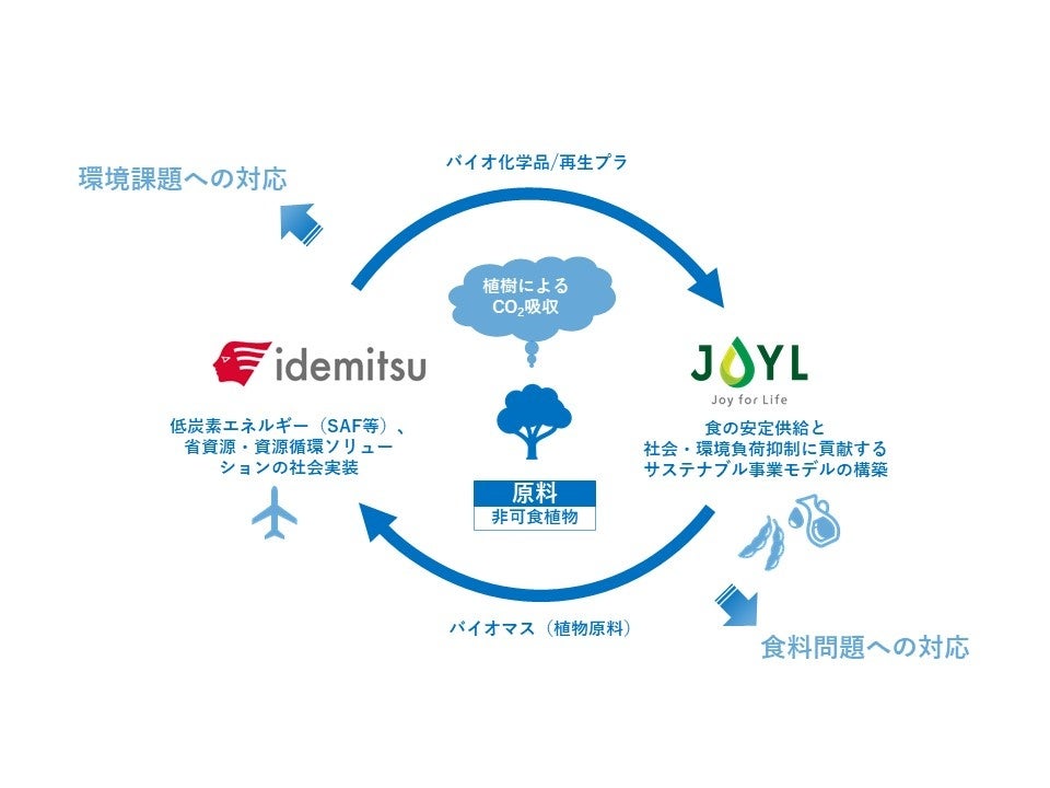 サーキュラーエコノミー実現に向けたバイオマス事業のイメージ