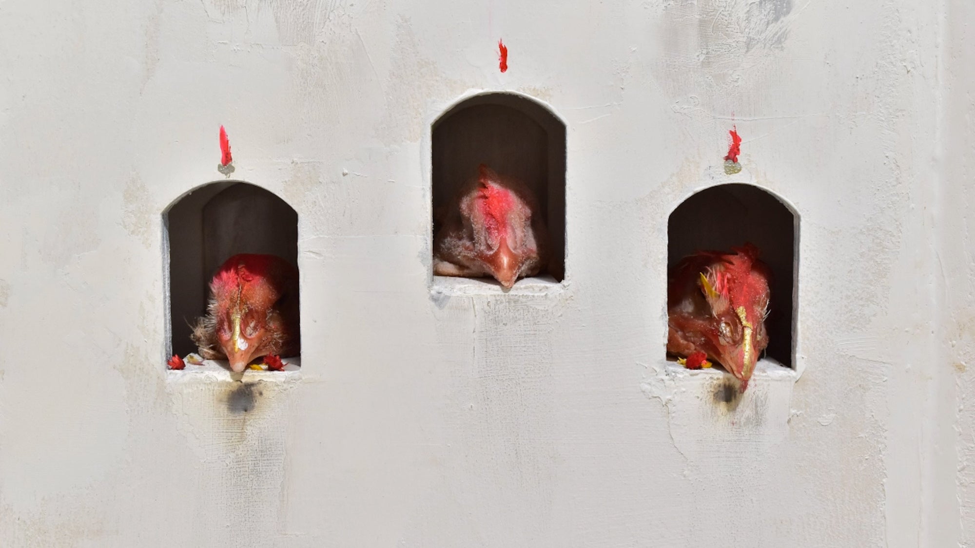 副島 しのぶ《ケアンの首達》 The Spirits of Cairn 2018