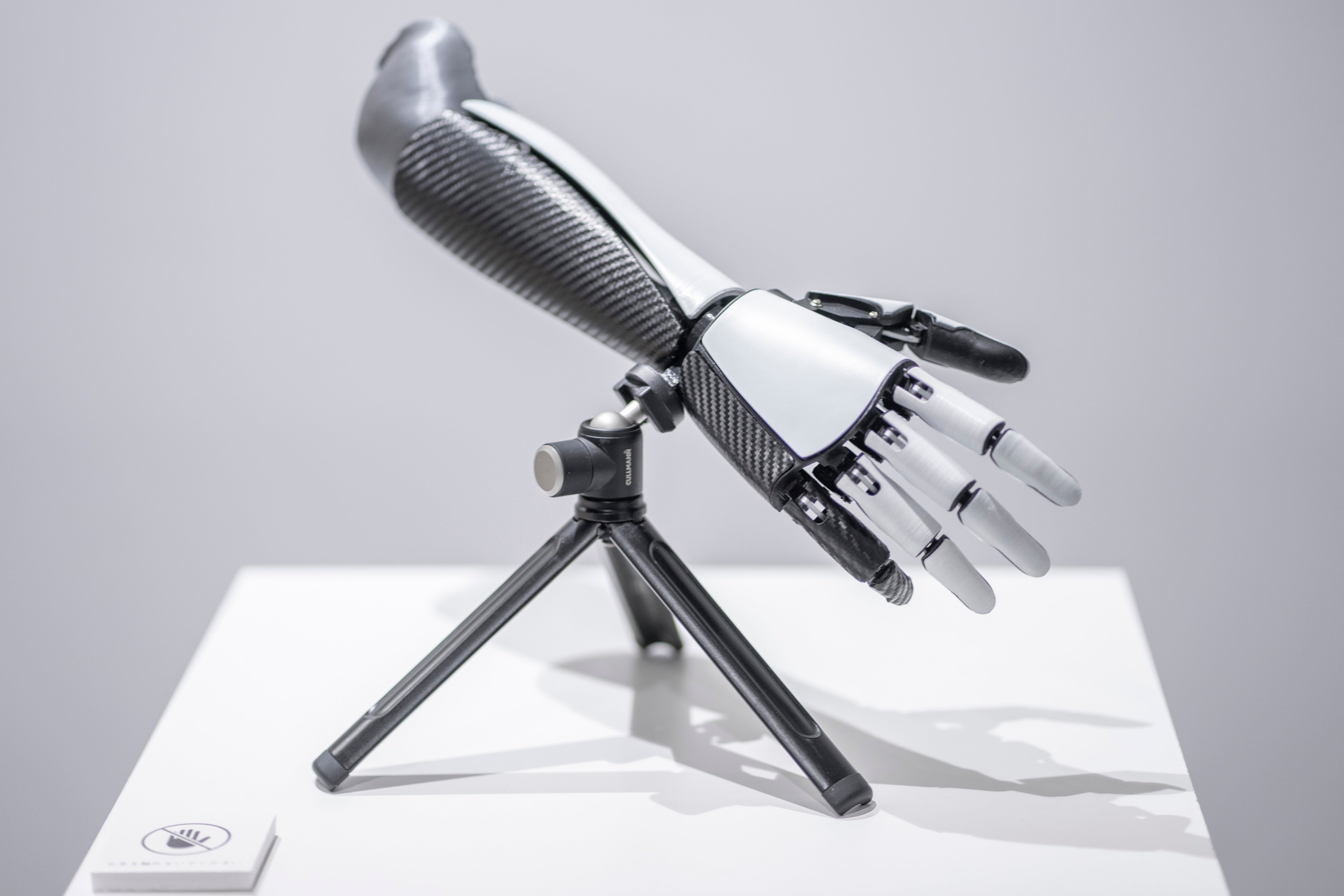 小笠原 佑樹 《Claffin》 2019