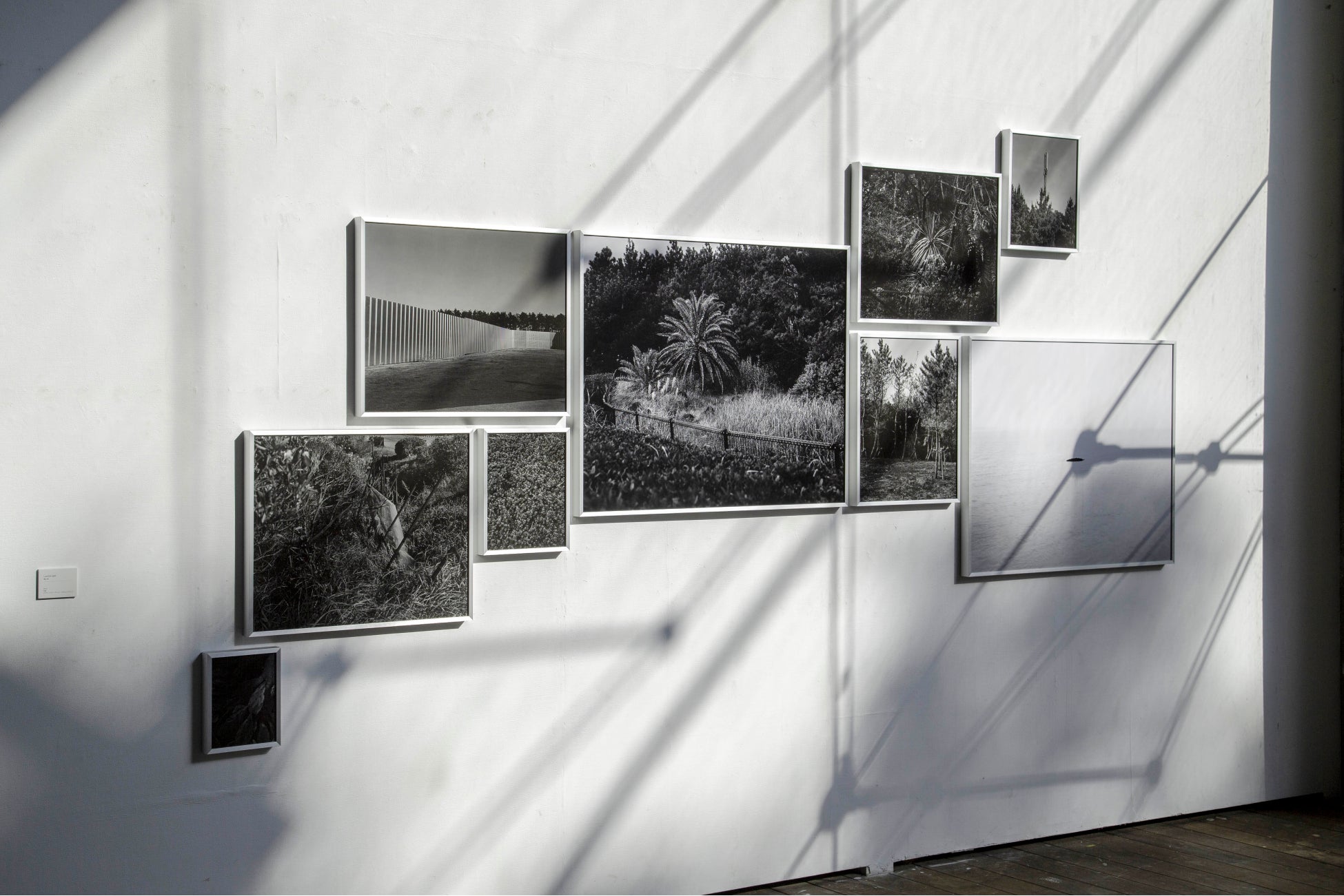 横山渚《Landscape》2019