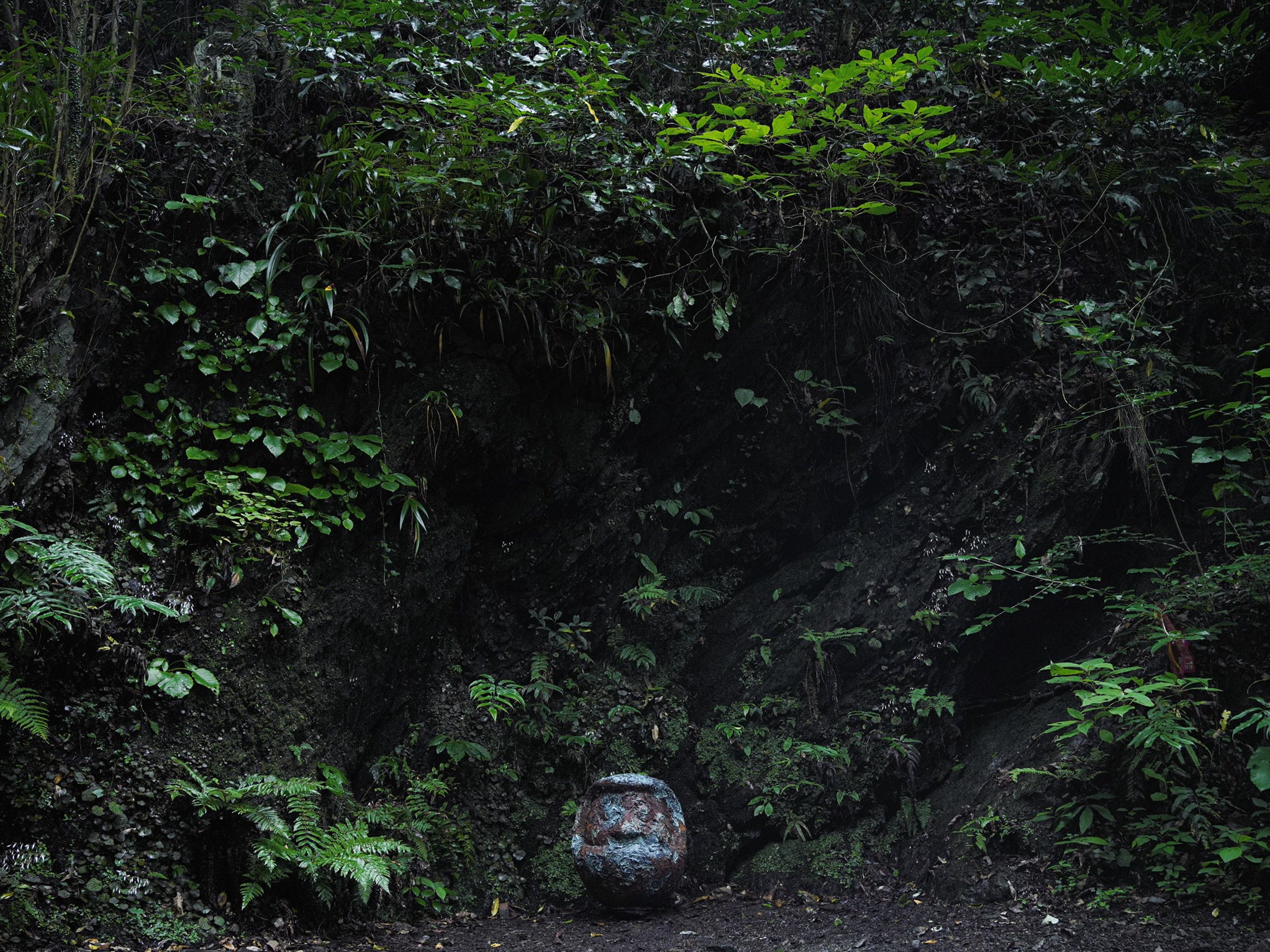 コエダ小林 《面壁千年》 2020