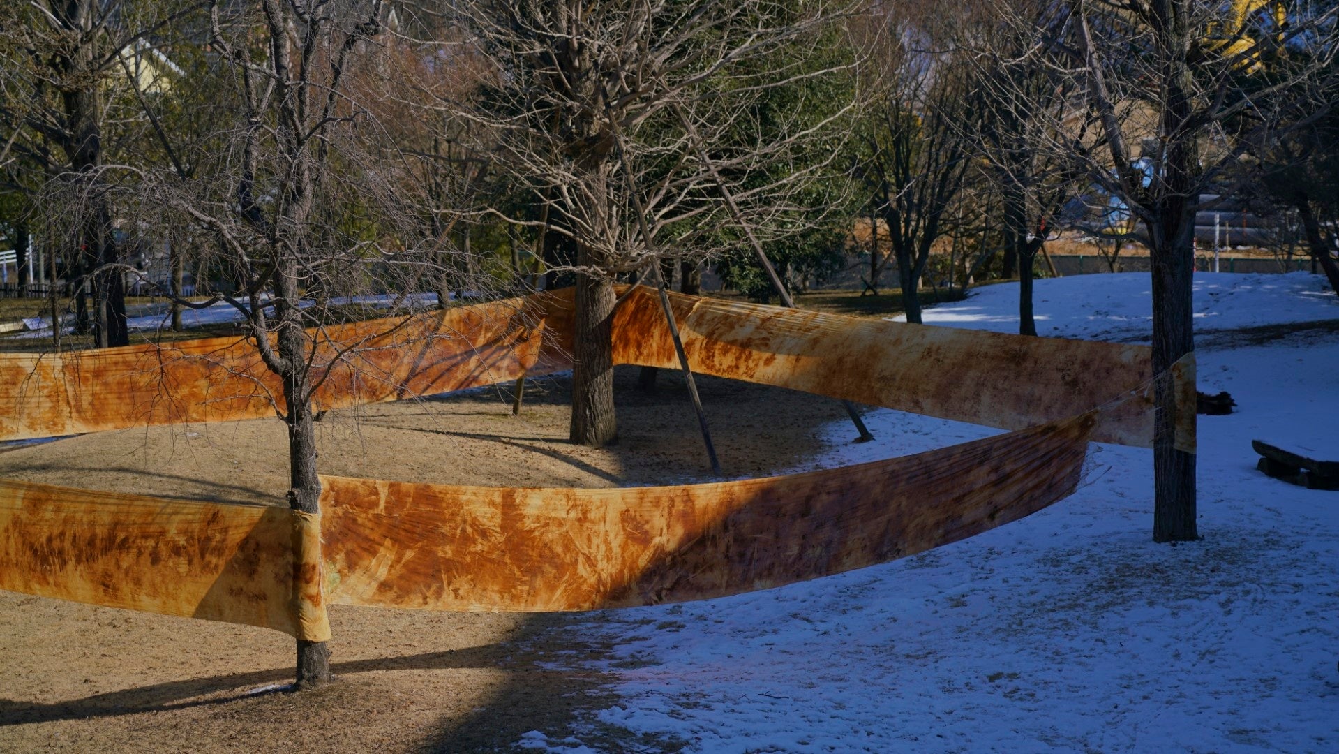 池部 ヒロト《PNEUMA》2021