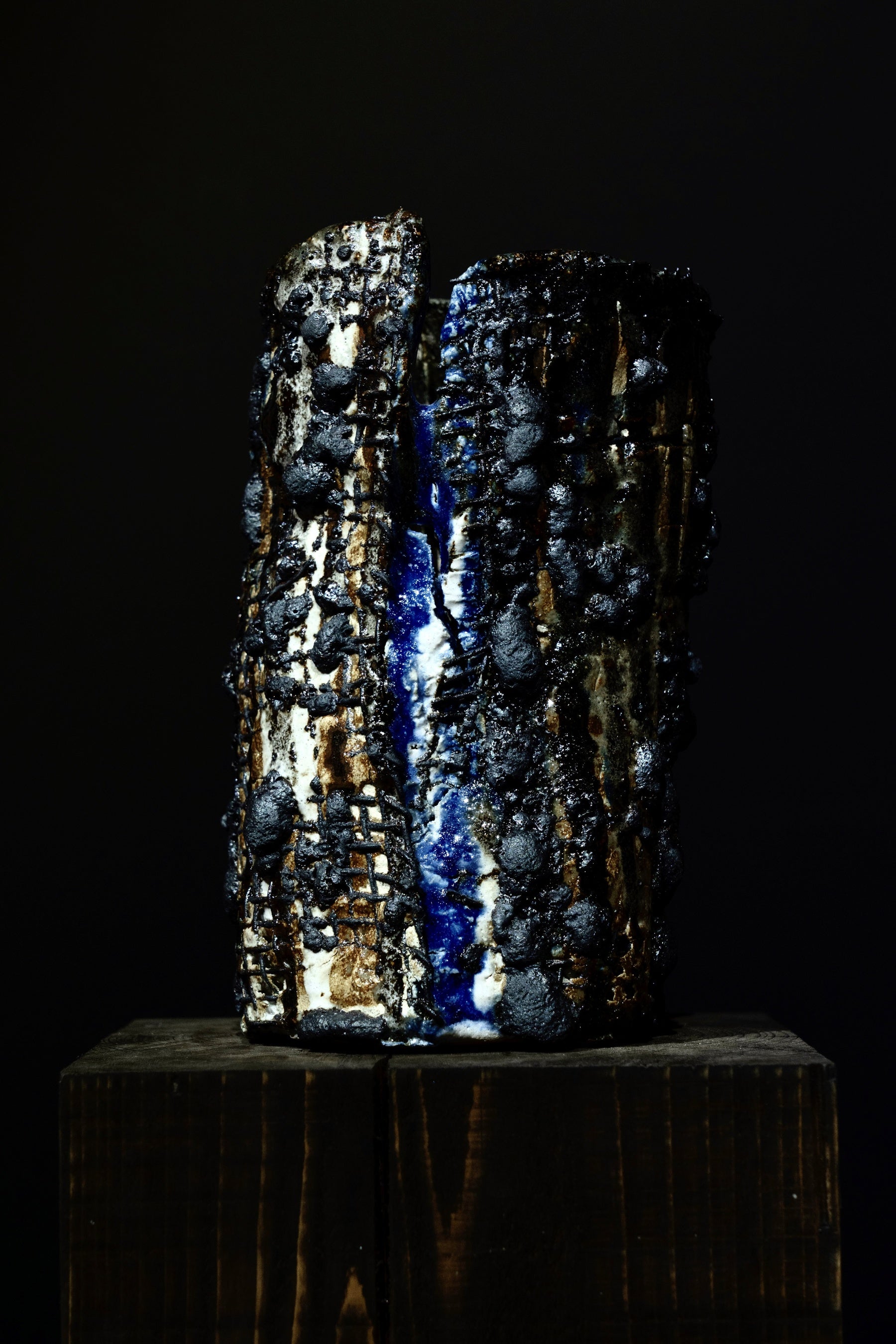 斉藤 七海《The Forest of Death and Life》2020