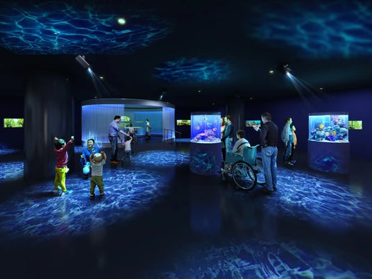 プロモツール、広島もとまち水族館の香り演出を担当 プロモツール、広島もとまち水族館の香り演出を担当