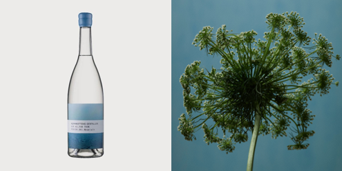 Mountain Fusion　700ml　税別6,500円・アルコール度数43.5度