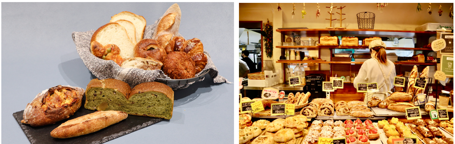 京都市二条エリア coneruya