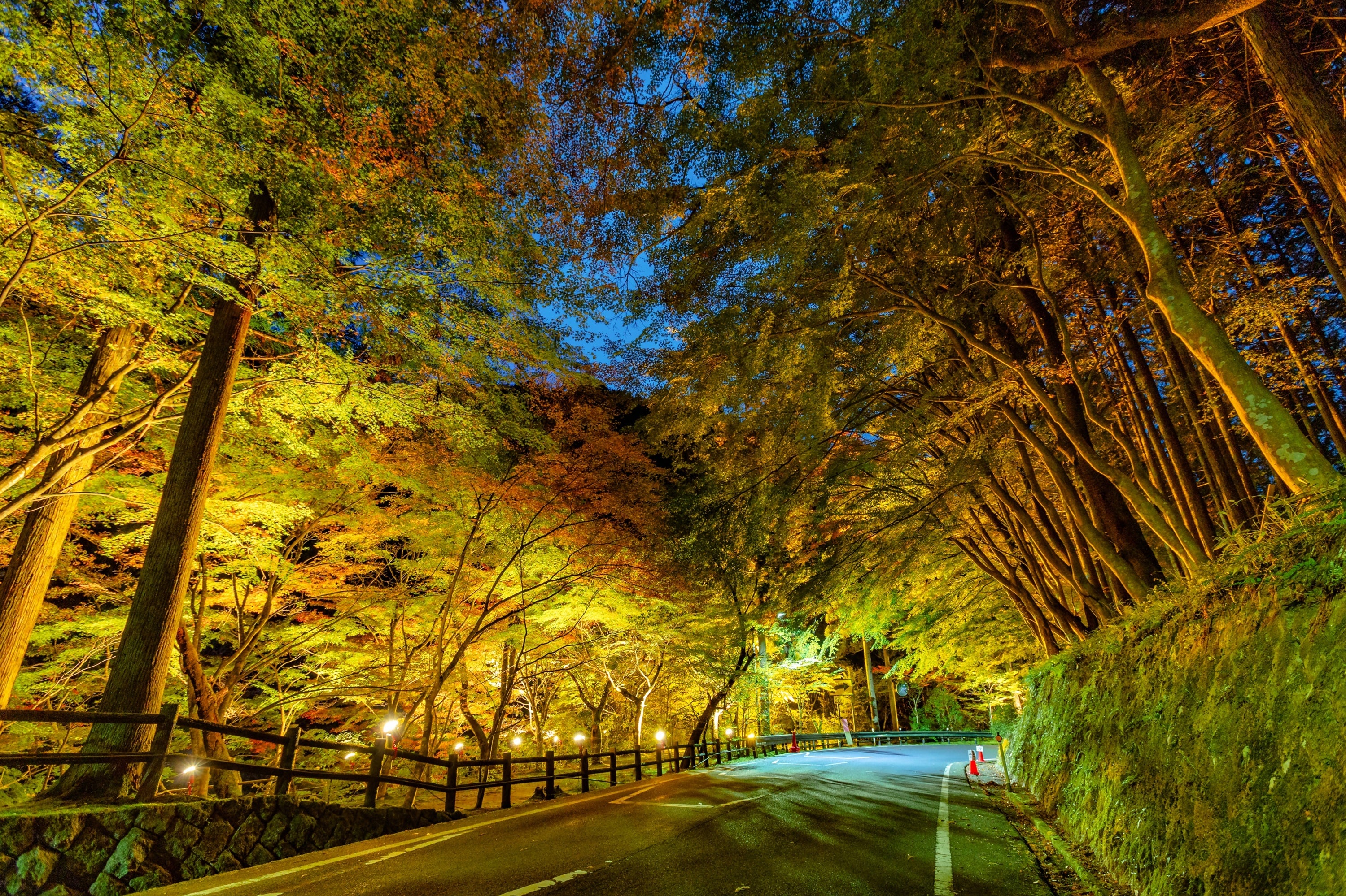 奥津渓もみじ祭り