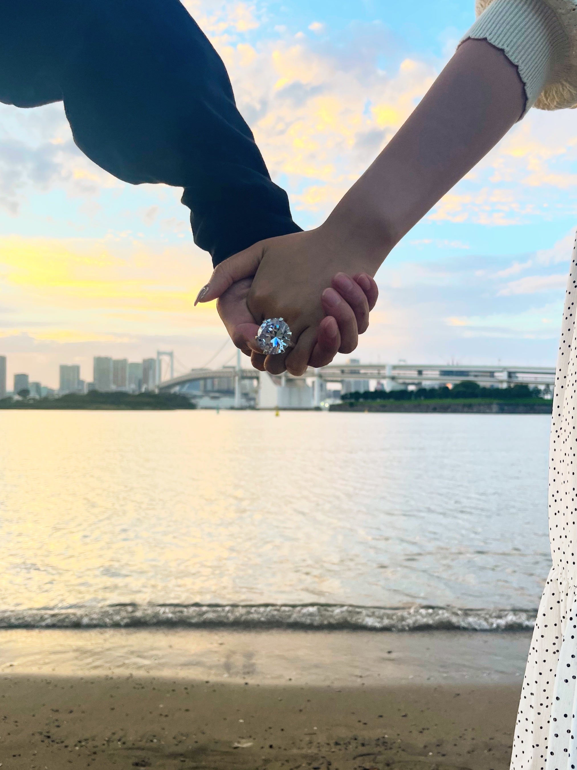 とにかく大きい