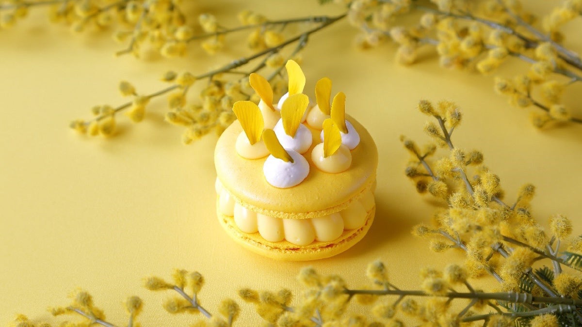 都ホテルズ＆リゾーツ