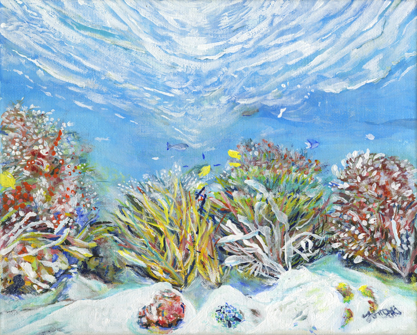 倉持智行（TOM）『夢色の海』