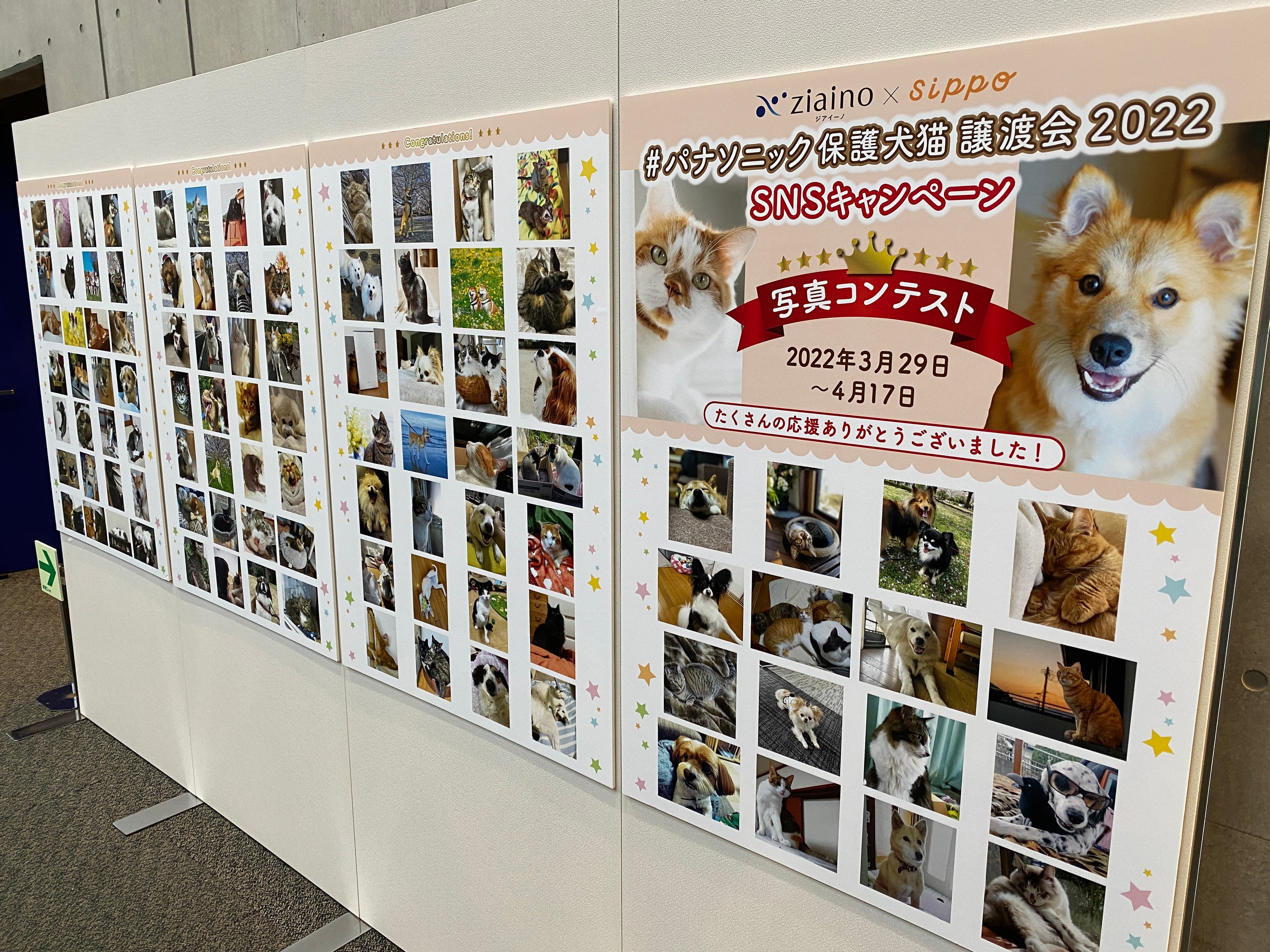 写真コンテストパネル